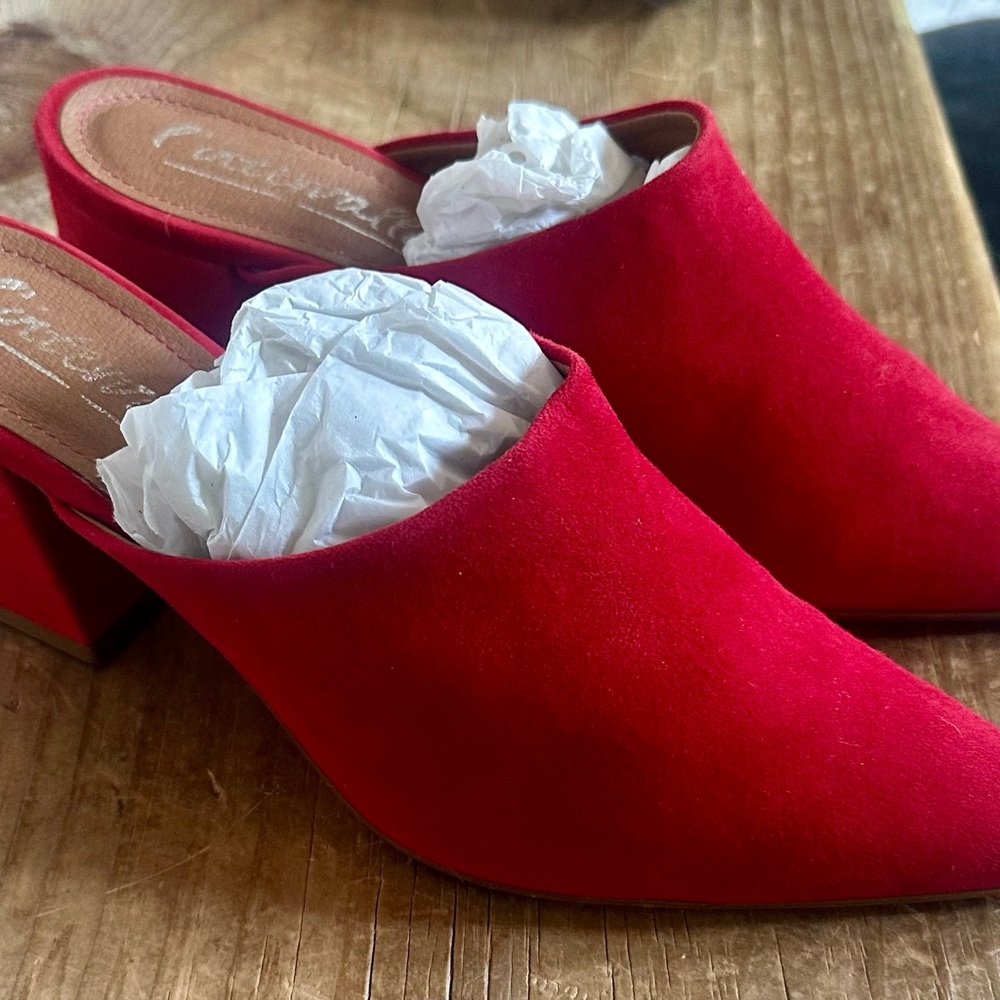 L'INTERVALLE Red Velvet Mules with Pointed Toe Sz 39 or 8.5